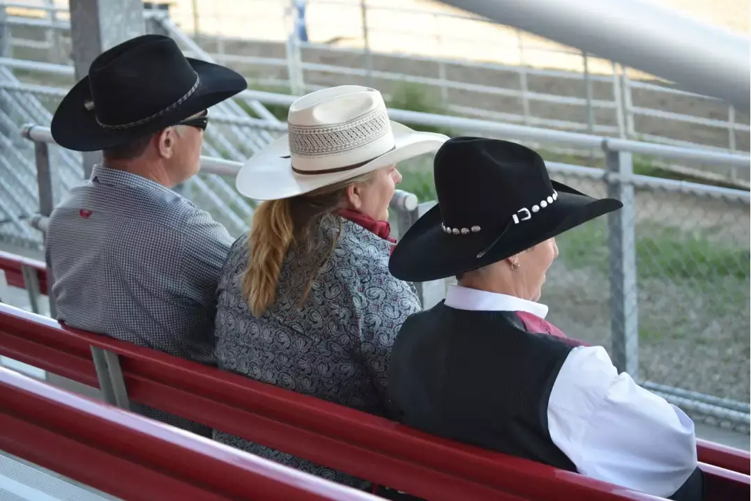Understanding Horse Personalities: Lessons From a Lifetime in the Saddle